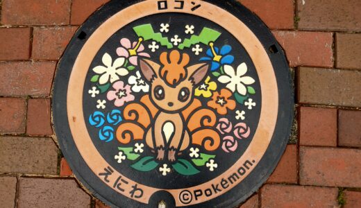 【ポケふた】北海道恵庭市で「ロコン」のポケふたをゲット！