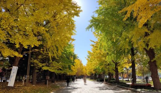 【中島公園】都心のすぐ近くにある自然も遊具もいっぱいの公園｜札幌市中央区