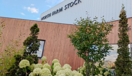 【NORTH FARM STOCK】道産素材を使った美味しくておしゃれなフード&カフェ｜岩見沢市